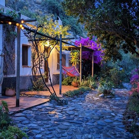 Cortijo Jamaica - Off Grid Paradise - Costa Tropical Los Diaz (Granada) Exterior foto