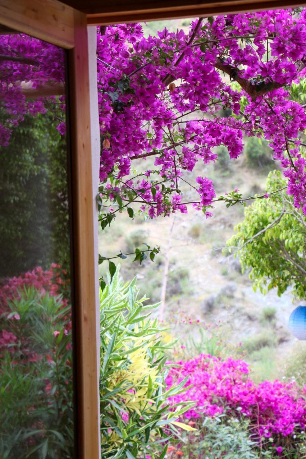 Cortijo Jamaica - Off Grid Paradise - Costa Tropical Los Diaz (Granada) Exterior foto